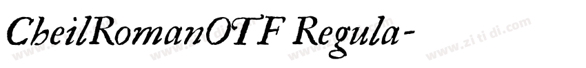 CheilRomanOTF Regula字体转换